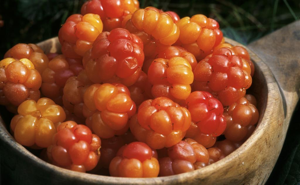 Valadalens Fjaellstation 호텔 외부 사진